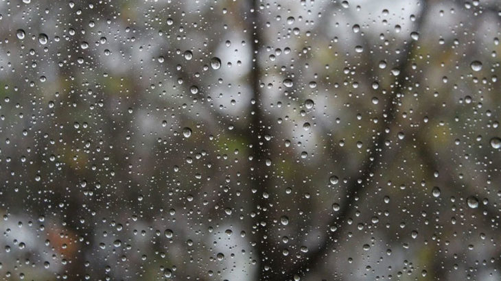 Rain drops on a window with trees in the background